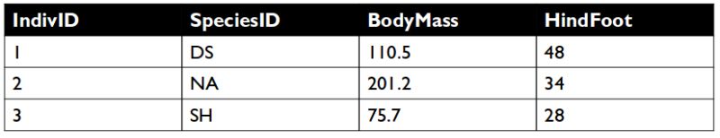 Lecture Materials Data Carpentry For Biologists - Sunset Textures - Perfect 4K Collection