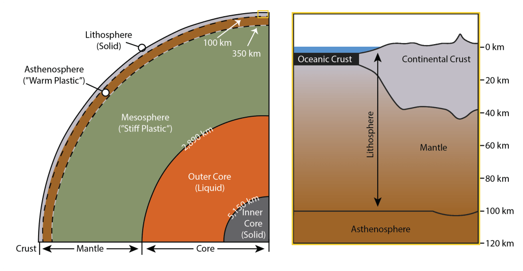 Conceptual diagram reveals the Earth's interior layers from the surface to the center of the Earth. The outermost layer, the brittle Lithosphere, extends to 100 km depth. Beneath the lithosphere is the asthenosphere, which behaves like warm plastic. It extends to 350 km. Beneath the asthenosphere is the mesosphere, which behaves like stiff plastic. This layer extends to 2,890 km. Beneath the mesosphere is the liquid outer core, which extends to 5,150 km. The deepest of Earth's layer is the solid inner core. Tectonic plates are lithospheric plates, meaning that they are made of the Earth's surface layer that extends to 100 km. Compositionally, these plates are composed of the crust and upper mantle. Oceanic plates have relatively thin, dense crust, while continental plates have relatively thick, buoyant crust. Despite these thickness variations in the crust, lithospheric plates are about 100 km thick.