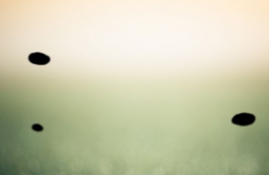 Directory Listing Of Https Datamelt Org Examples Data - Landscape Patterns - Artistic Retina Collection