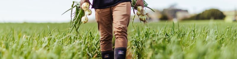 Roper Son Limited Case Study Dataphyll - Download Classic Light Image | HD