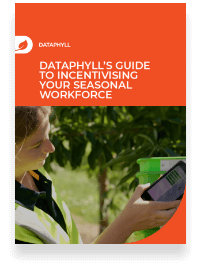 Integrations Dataphyll - Artistic Geometric Art - Ultra HD