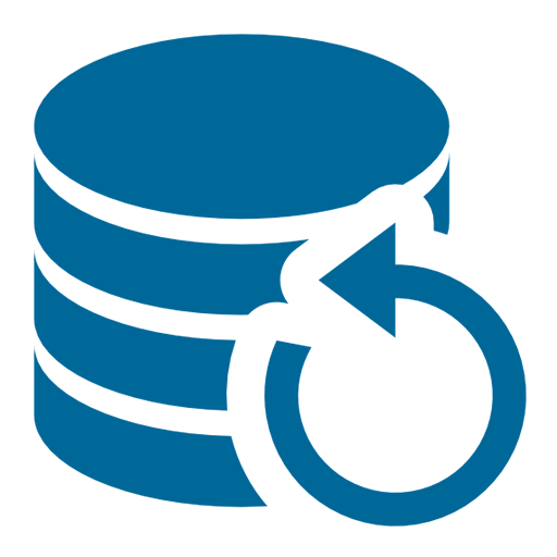 Data Recovery Pit logo