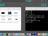 Terminal An Interface For Command Line Operations Data Science Workbook