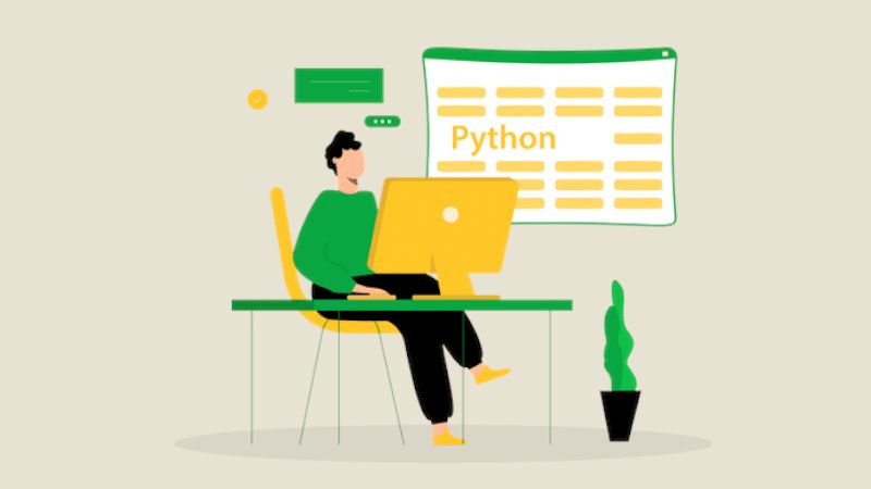 Formation Python Pourquoi Apprendre Ce Langage - Premium Vintage Background Gallery - High Resolution