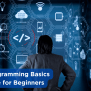 Java Programming Basics: A Guide For Beginners