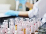 Hair Testing Drug And Alcohol Testing Compliance Datcs