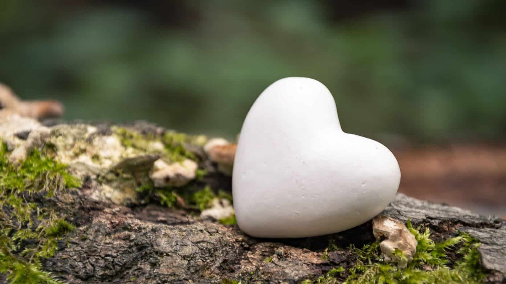 June 30, 2023 – Ears to Hear, Hearts to Obey
