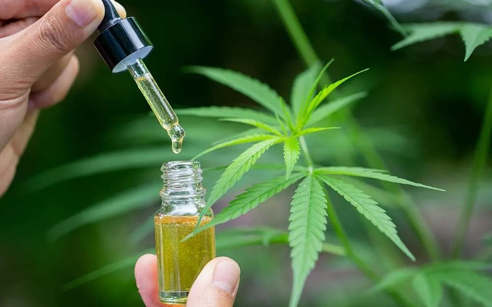 Understanding Hemp Extraction Methods