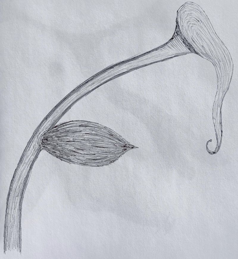 Dav0dea Drawing - Sunset Backgrounds - Modern HD Collection