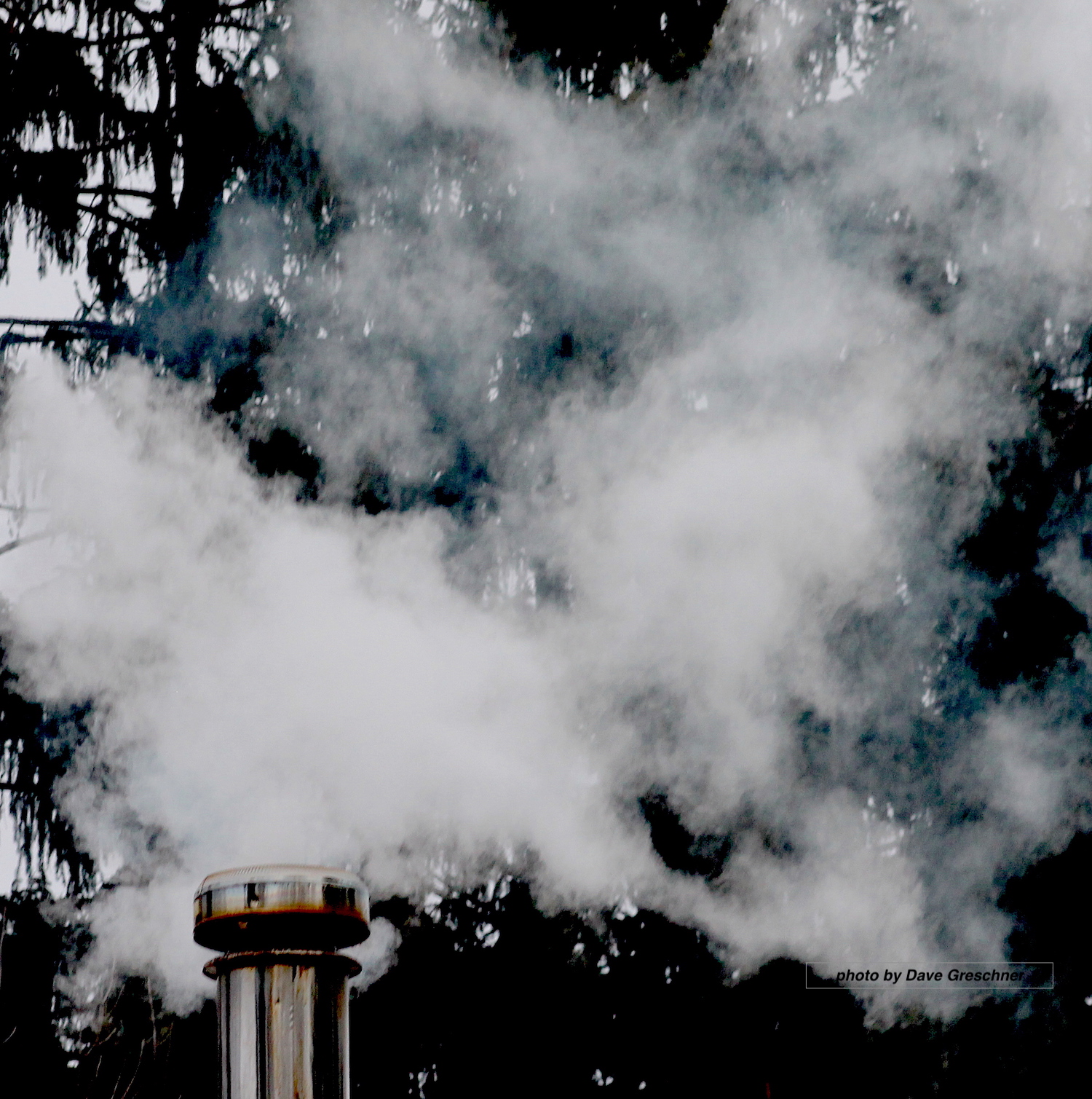 Escape of the ghosts