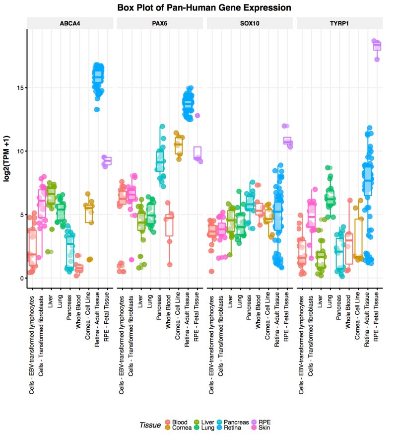 Eyeintegration - City Design Collection - 4K Quality