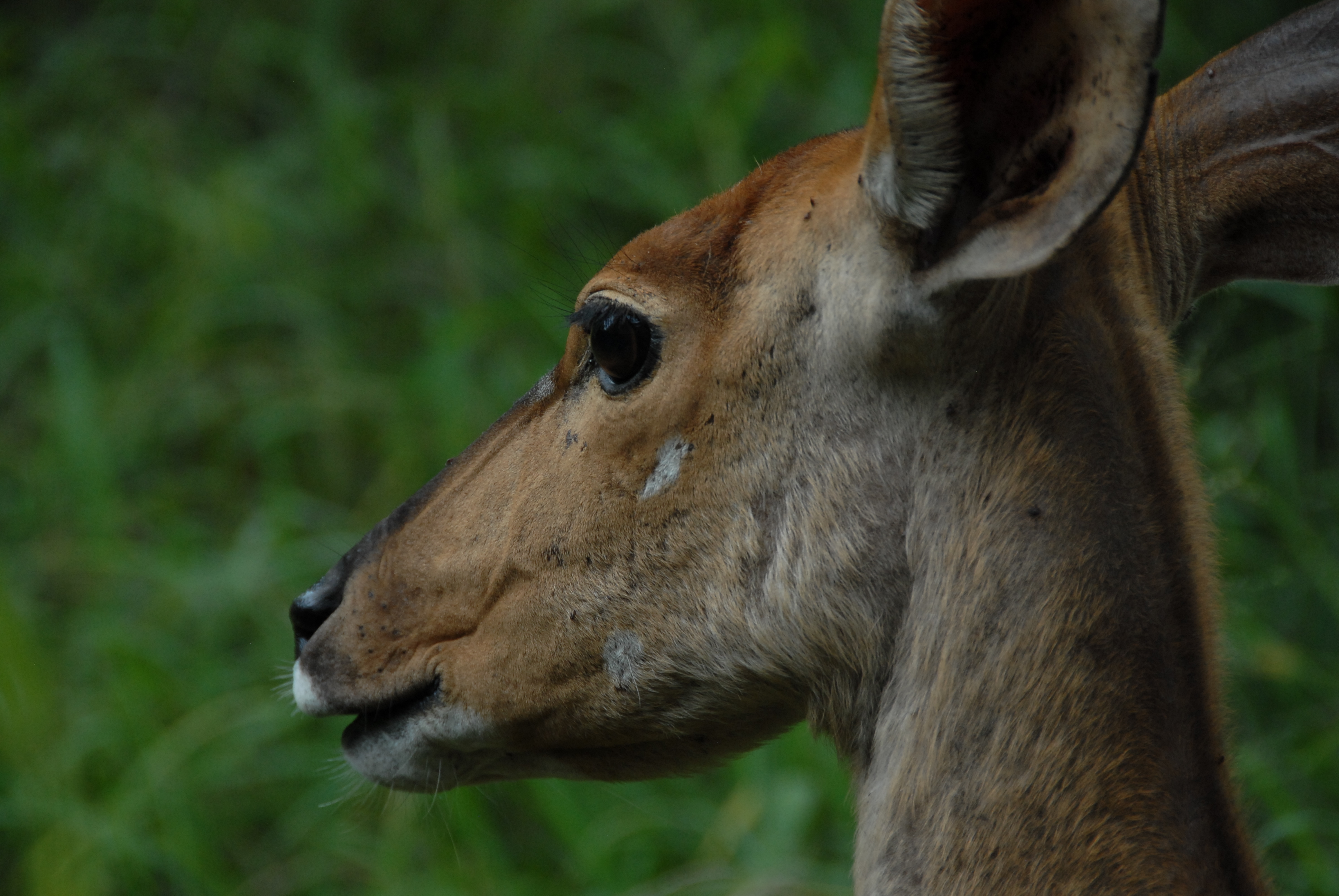 just outside our room