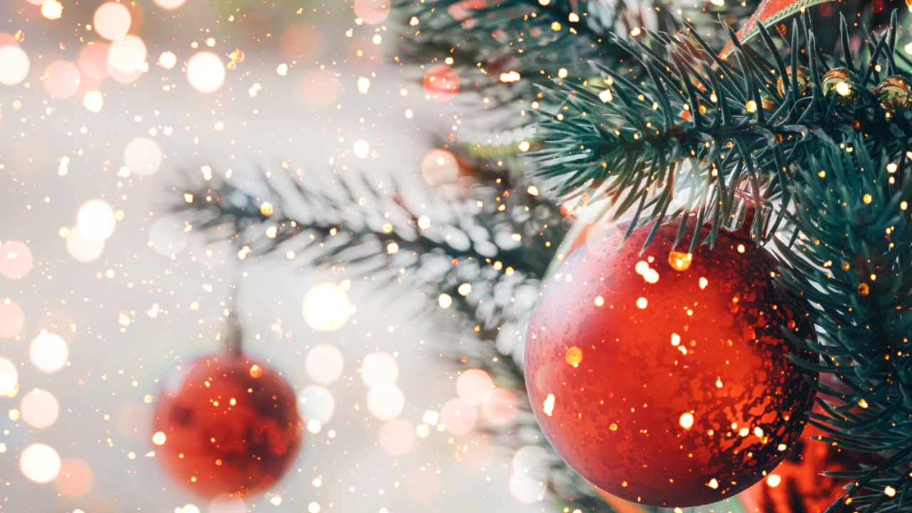 THE 12 DAYS OF CHRISTMAS