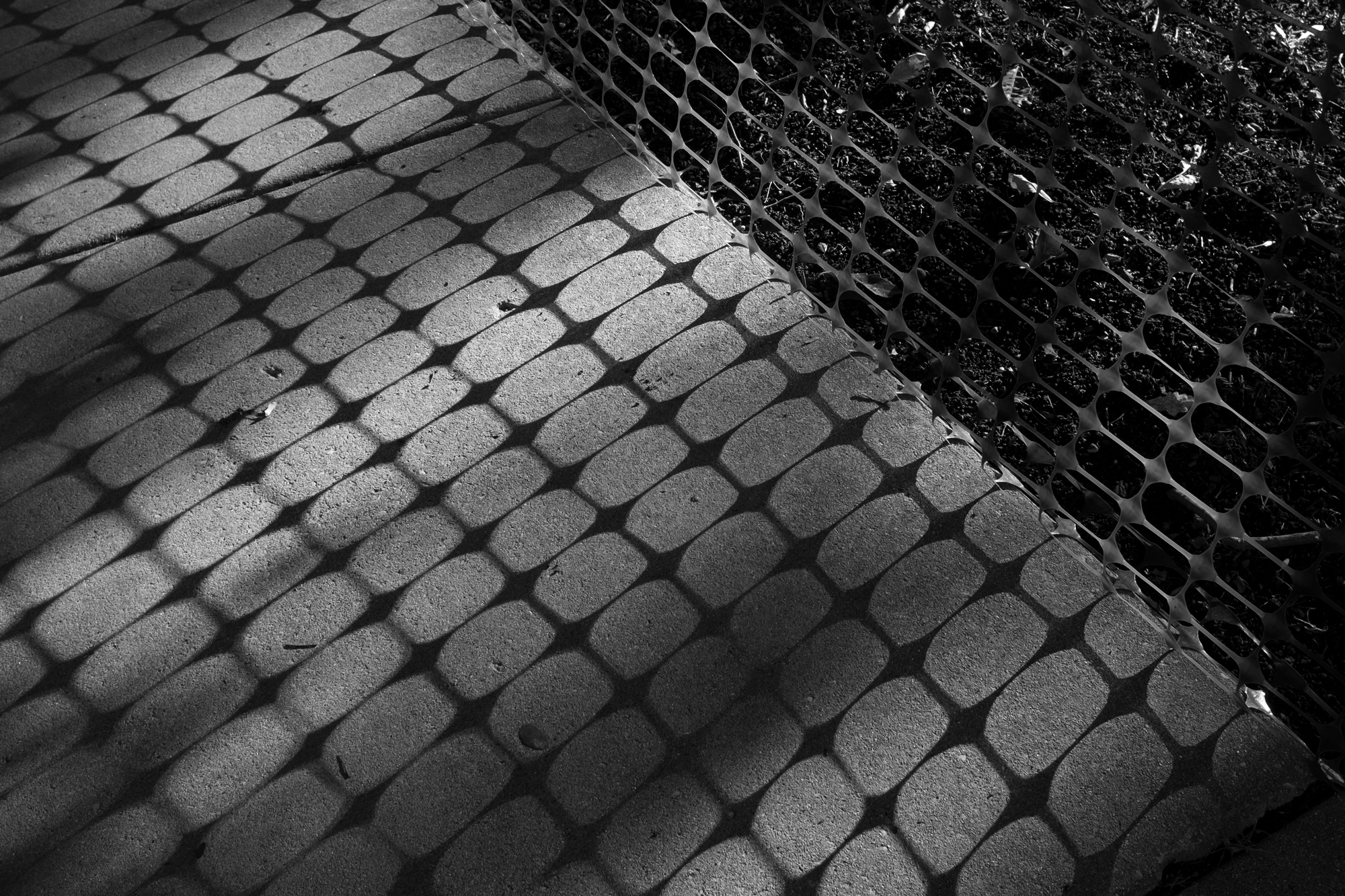Fence Shadow
