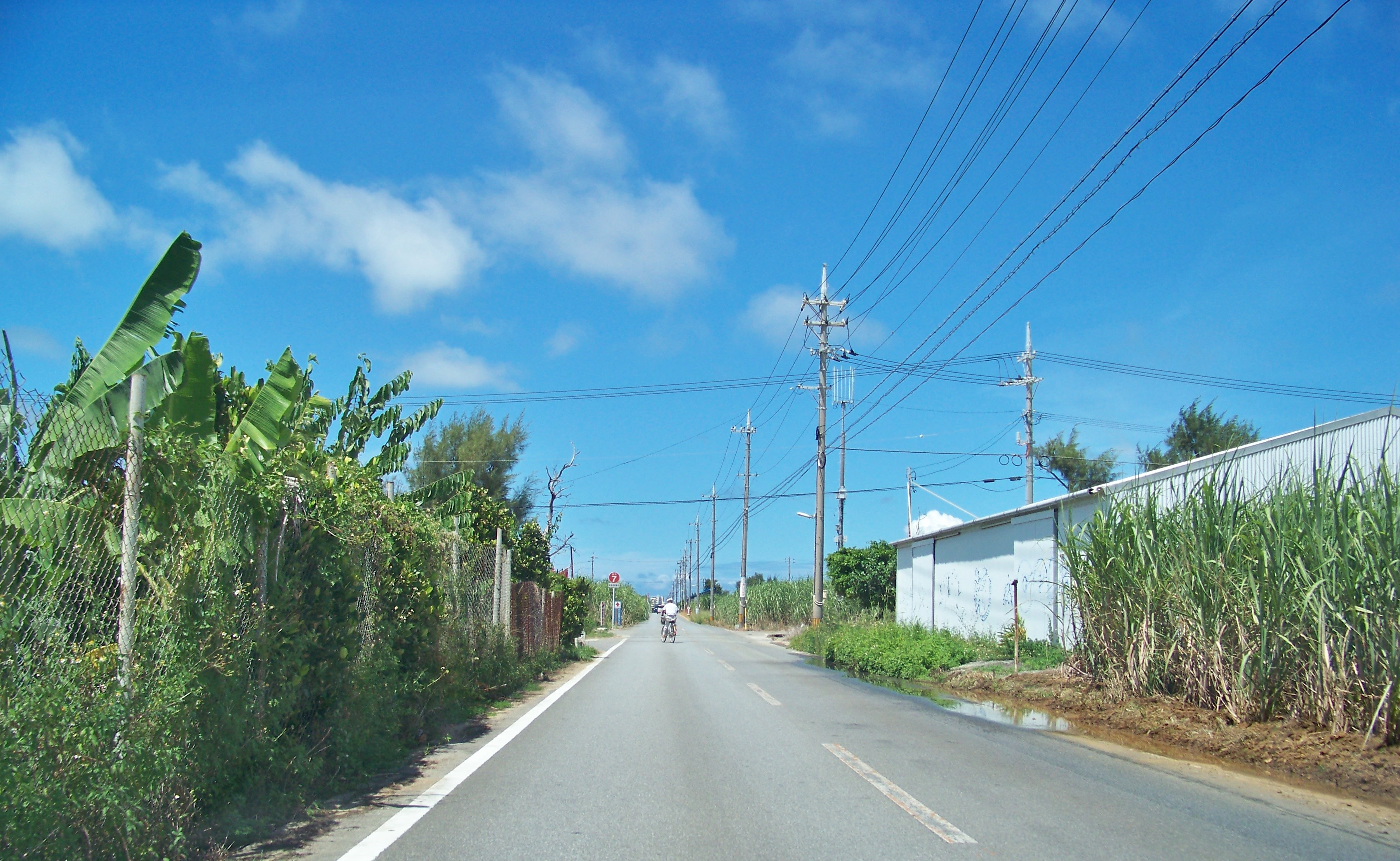 Heading out for the day, on the rural lanes of Okinawa.