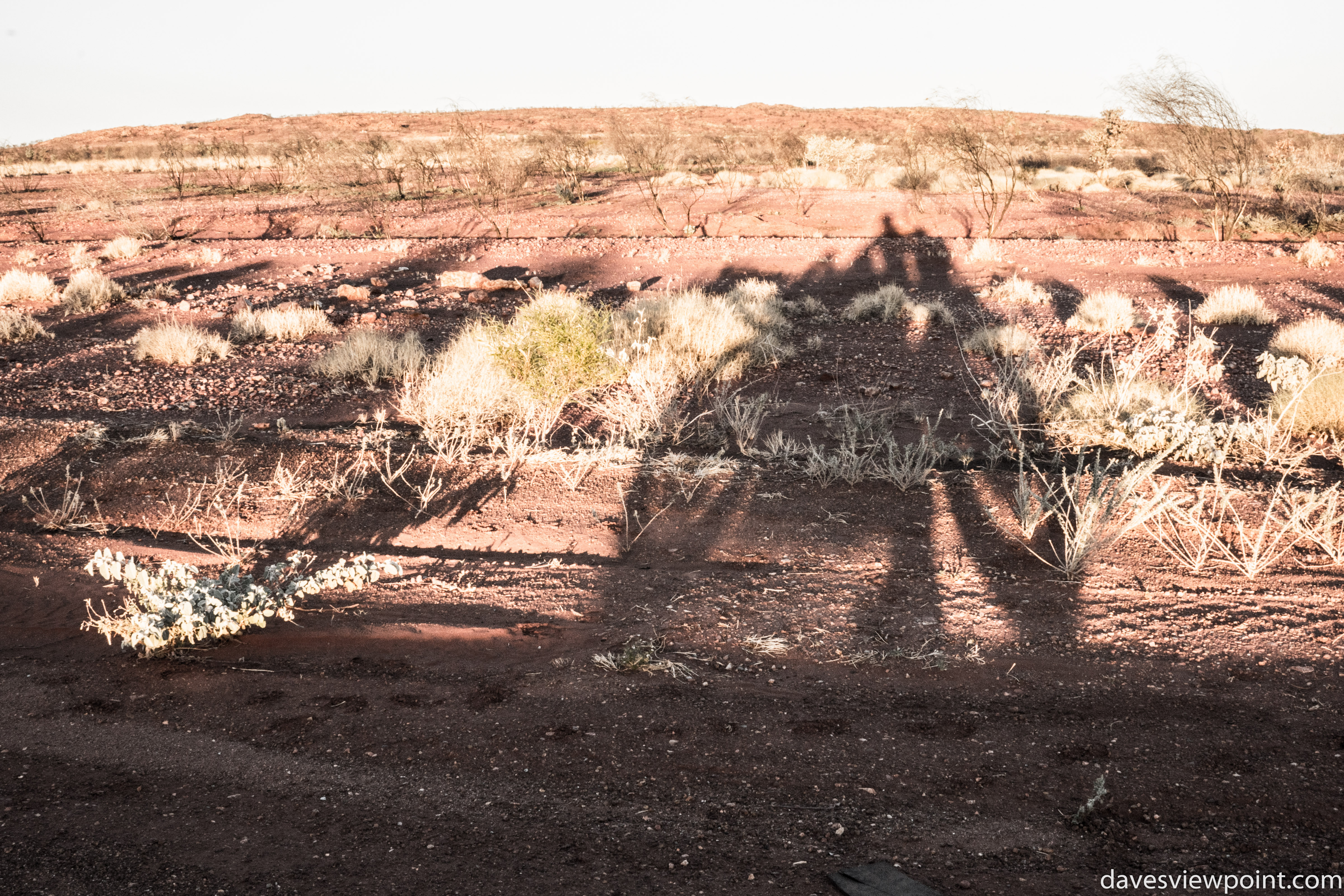 Shadows behind the sun reminds me that I am still alive.