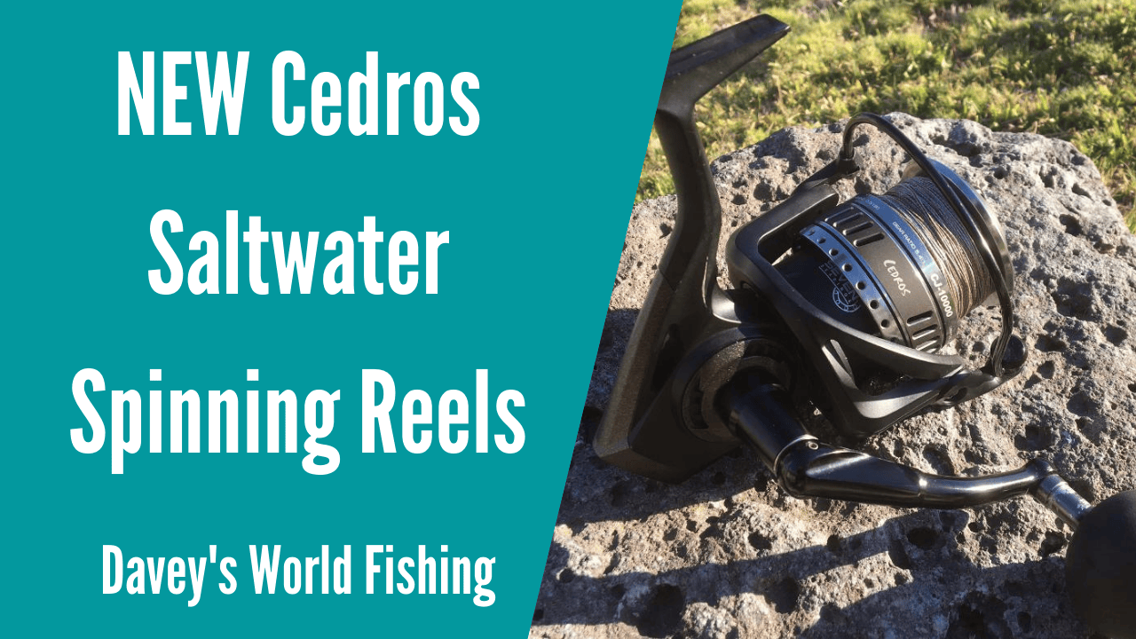 okuma cedris spinning reels CJ-14000 Cedros 14000 RH Saltwater Spin Reel Dual Force Drag gold anodized bail wire Okuma CJ-6000H Cedros Inshore Spin