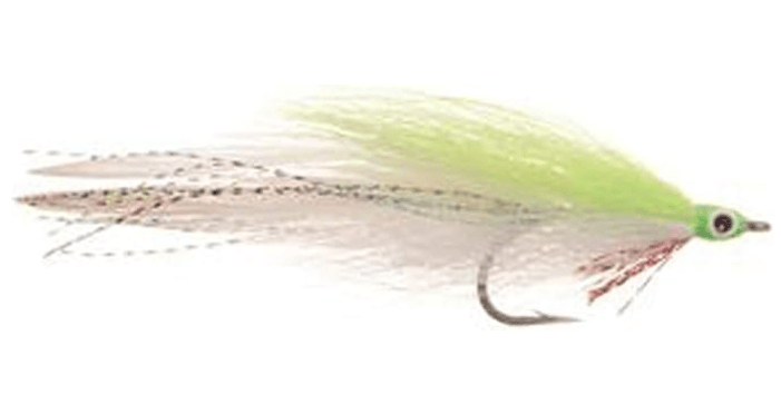 Deceiver Fly