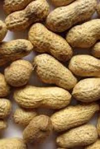 Boiled peanuts