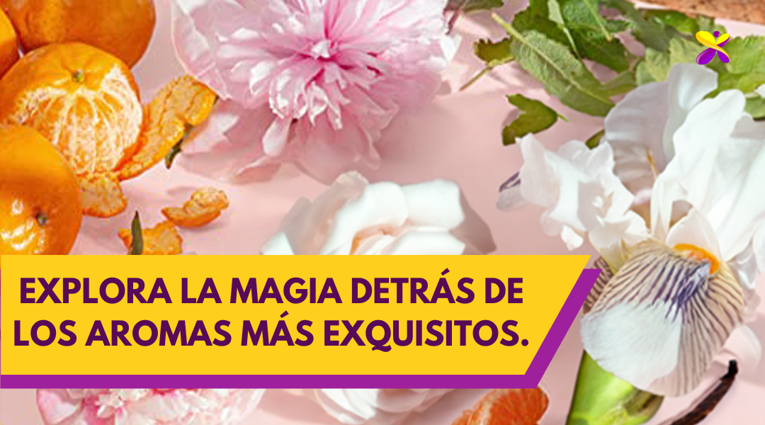 Descubre las esencias naturales que dan vida a los perfumes de alta calidad.