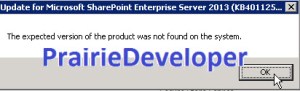 An Error Occurred While Running Detection - Expected Version Error