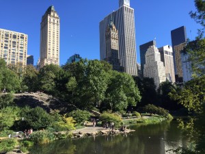 A beautiful Sunday afternoon in Central Park NYC