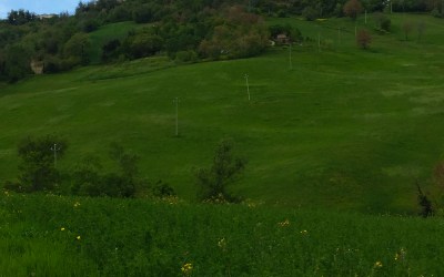 100 Days in Europe 2/100 A Walk in the Woods