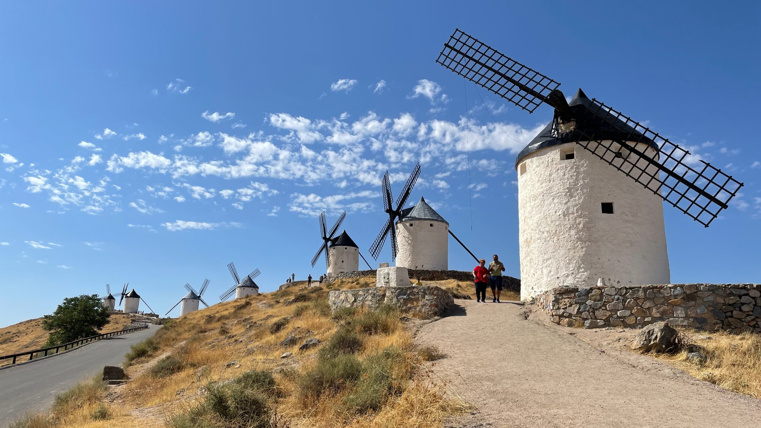 LaMancha Windmills