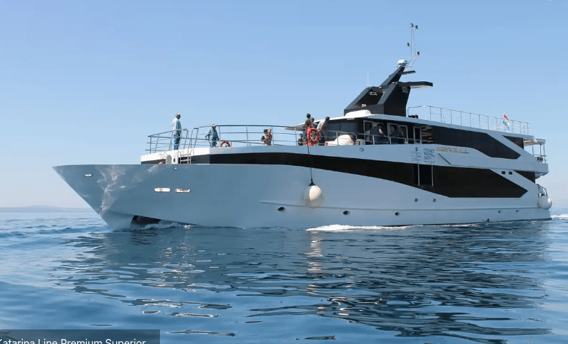 Seagull View Cruising open water
