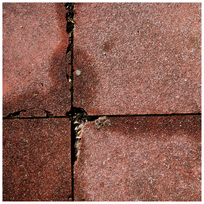 Felechosa. Arturias. 2009