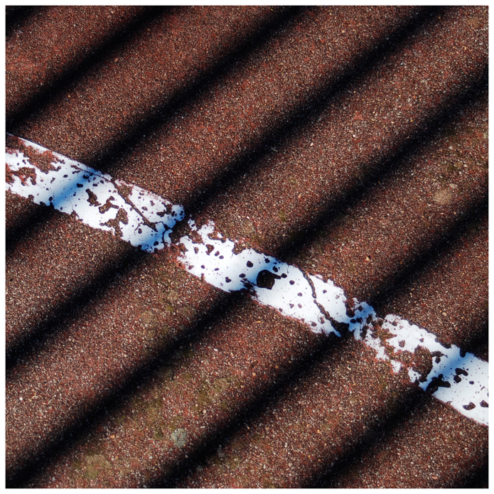 Felechosa. Arturias. 2009