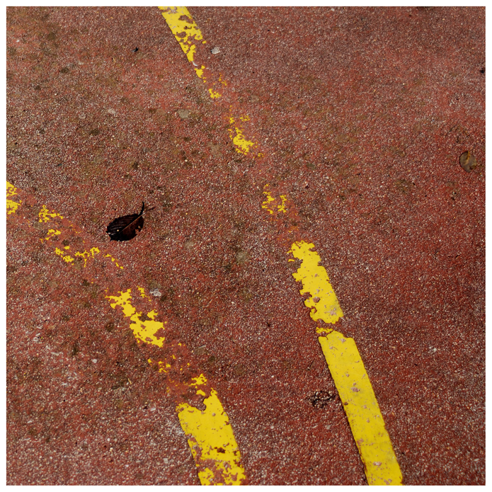 Felechosa. Arturias. 2009