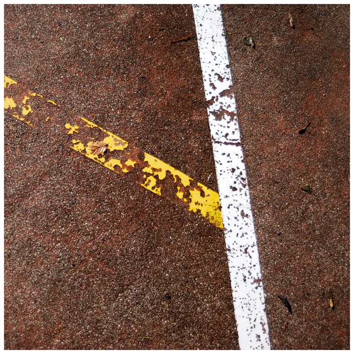 Felechosa. Arturias. 2009