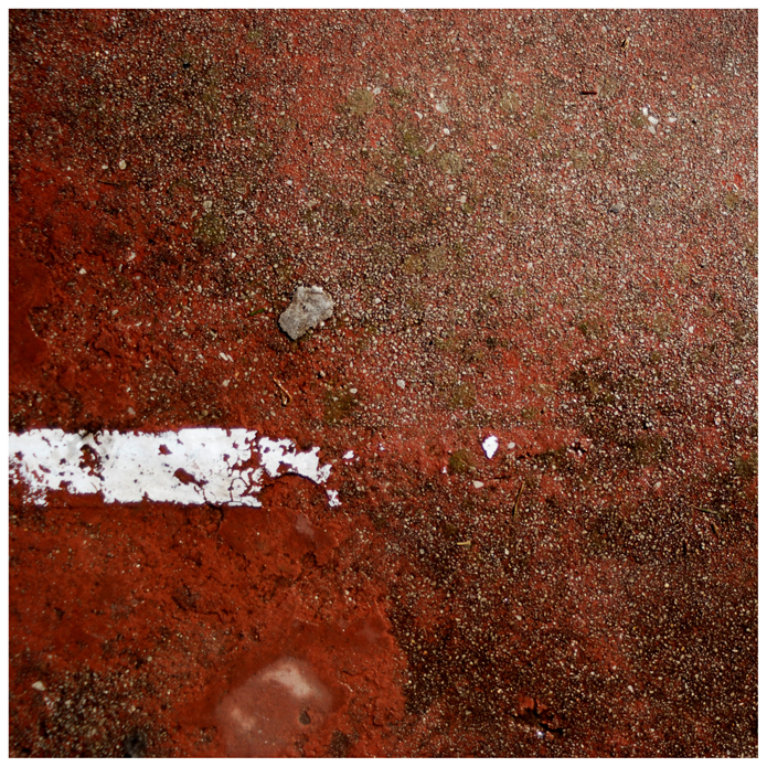 Felechosa. Arturias. 2009