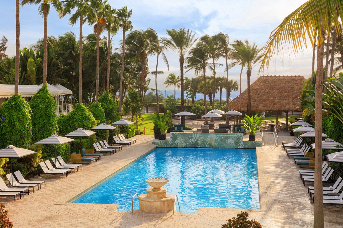 Discovering the Best 4-Star Hotels in Miami Beach - Davids Guide