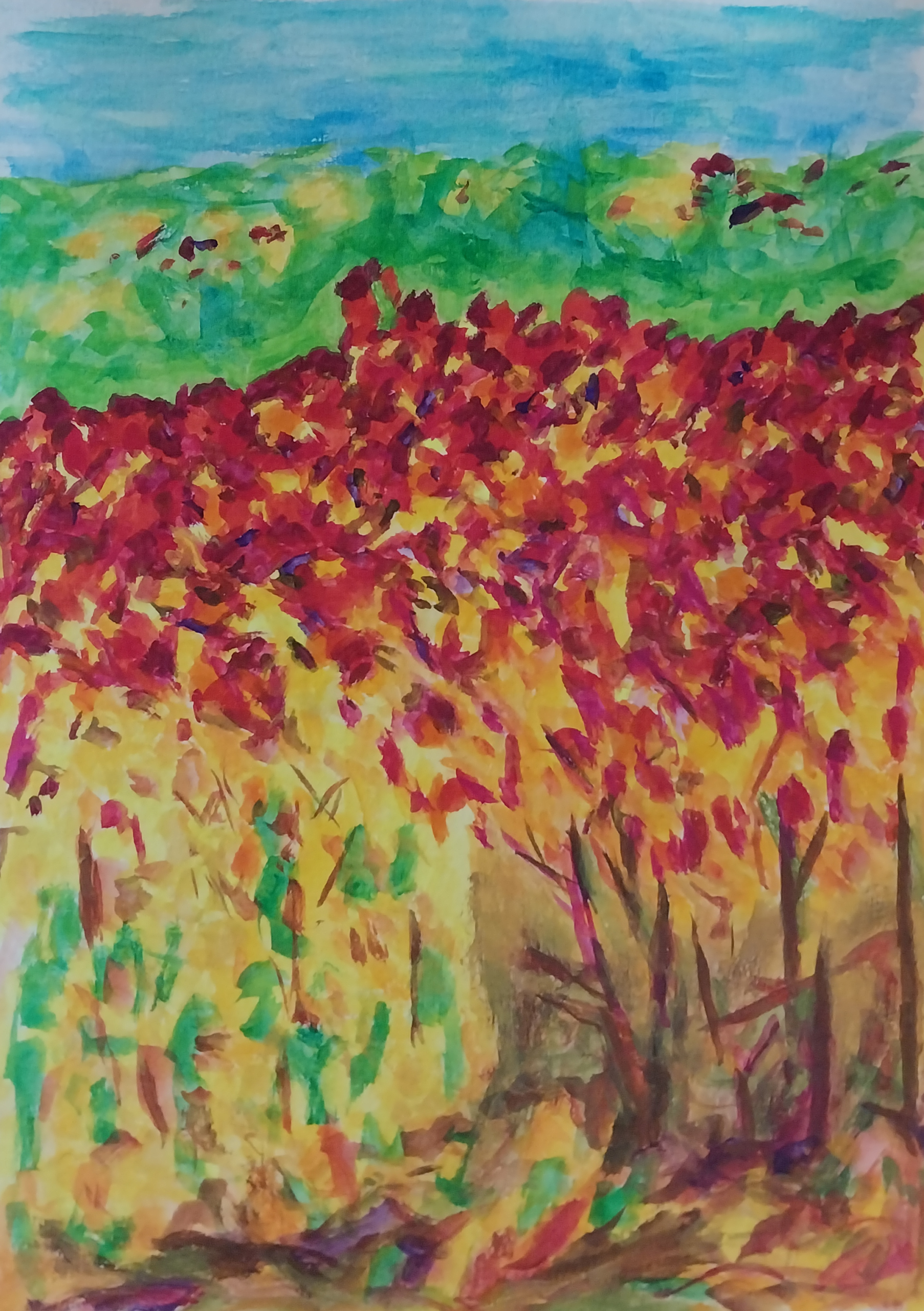 Maple Forest
