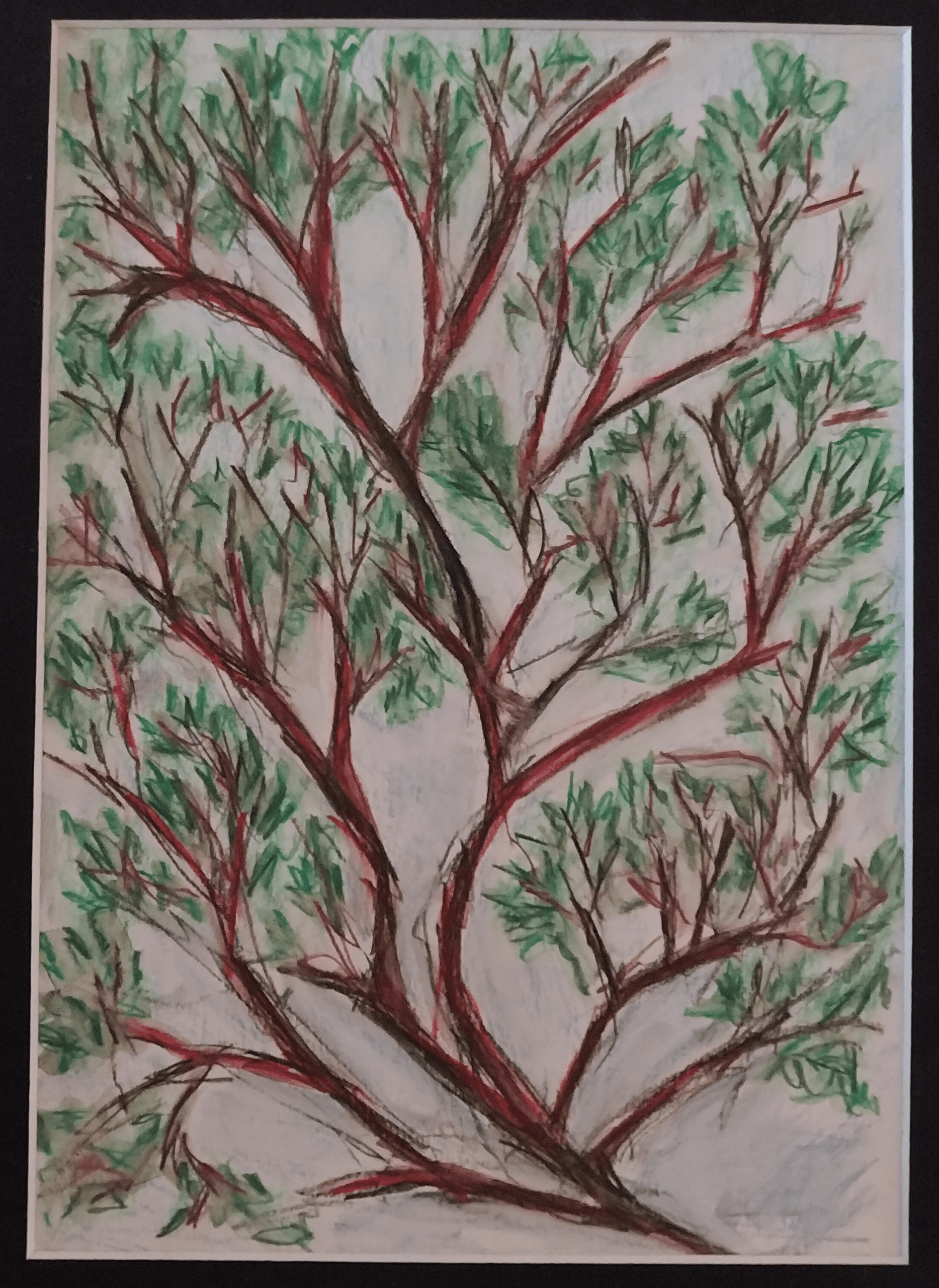 Tree Branch