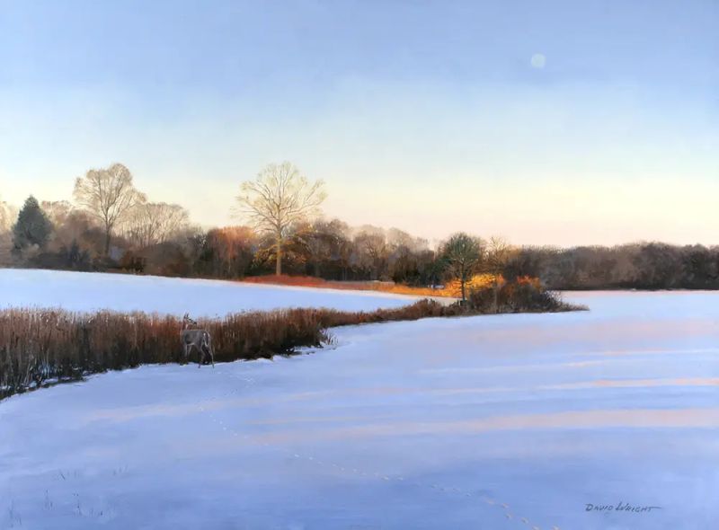 Treed David Wright Art - Premium Minimal Photo Gallery - Mobile