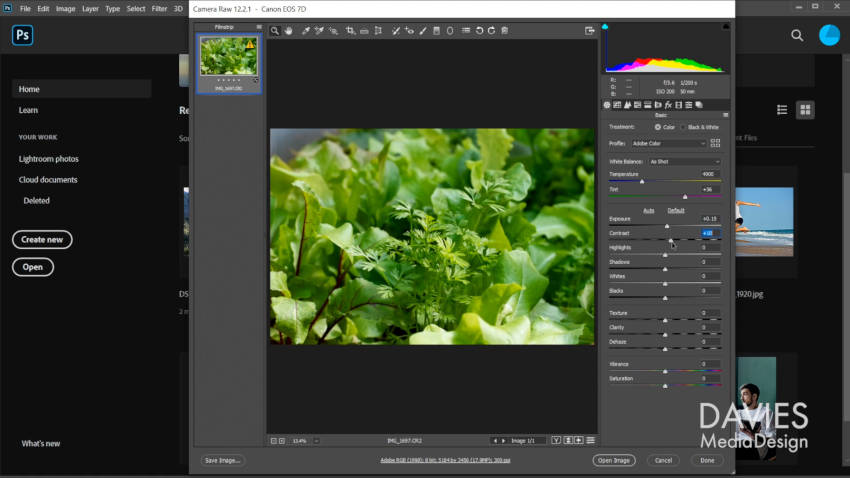 GIMP 與 Davies Media Design