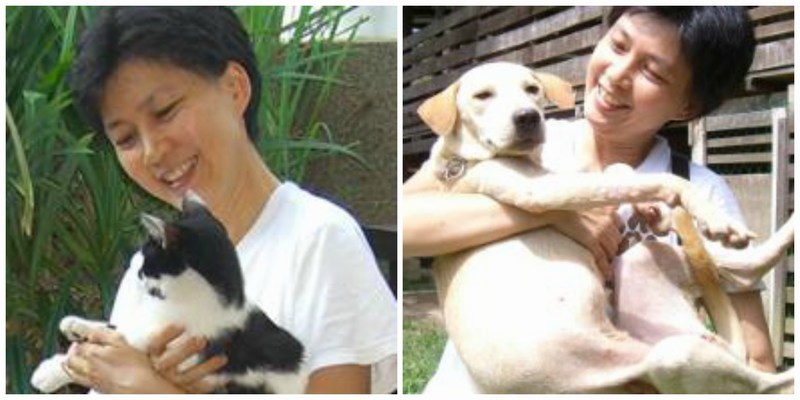 An Interview with Dr. Chan Kah Yein of AnimalCare