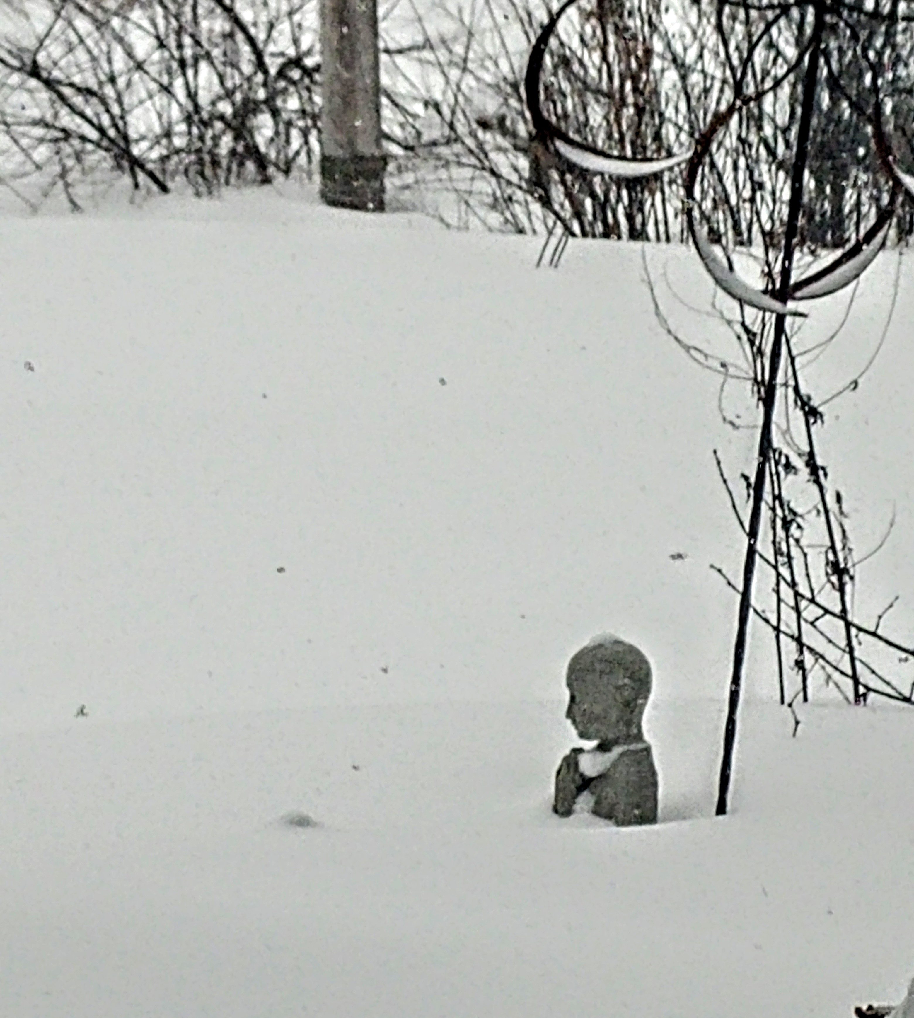 20190120_121350