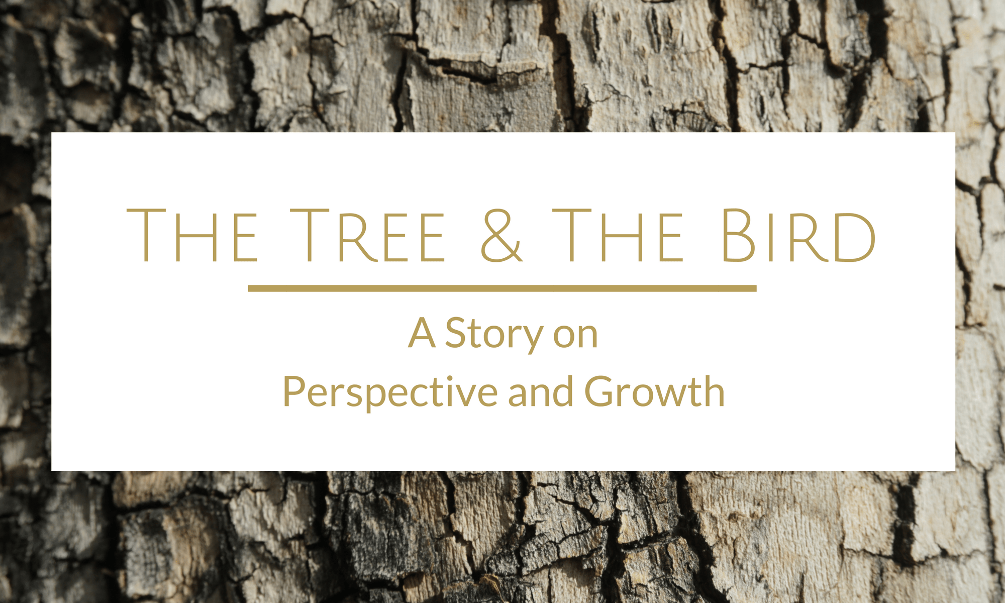 The Tree & The Bird: A Story on Perspective and Growth