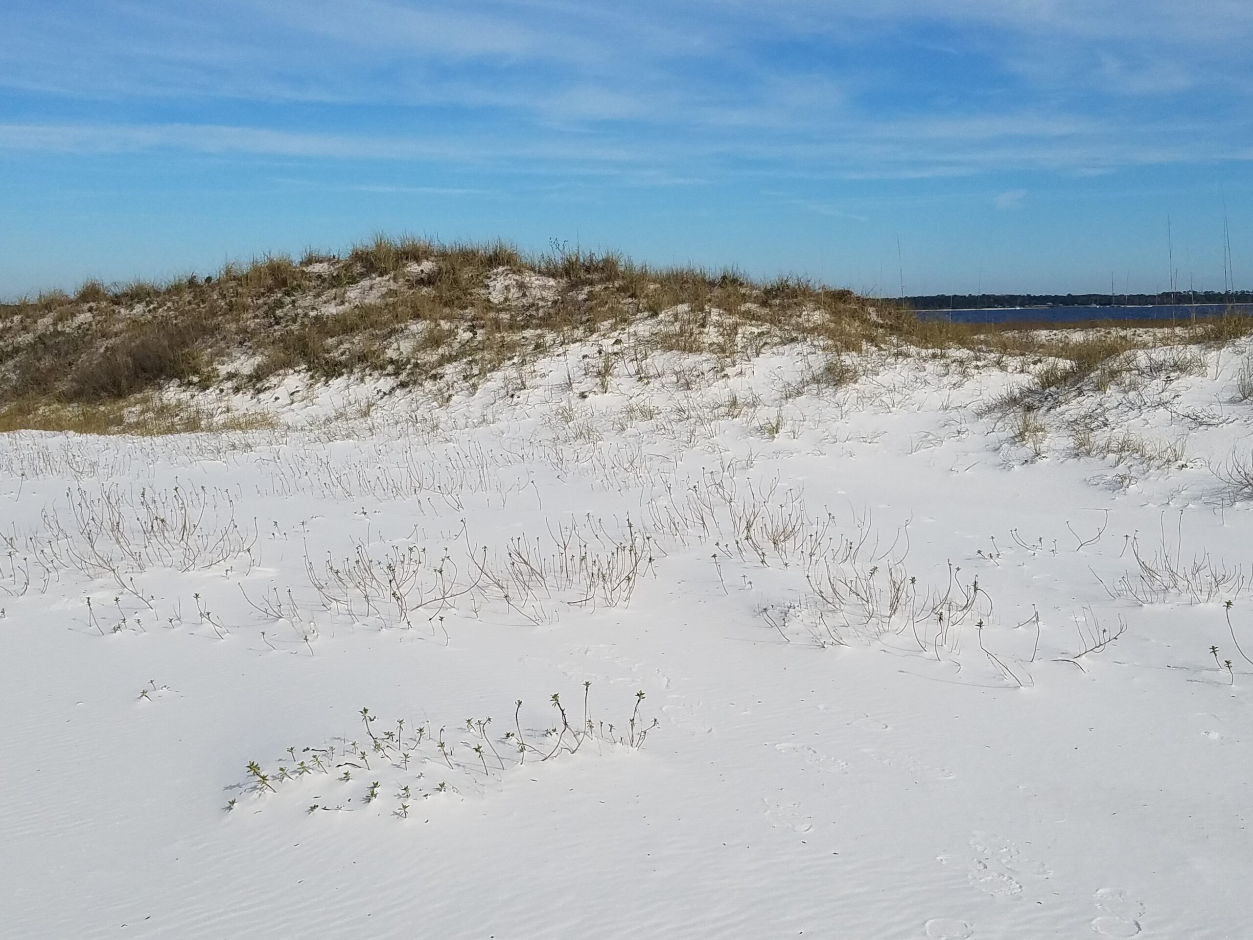 Fort Pickens National Seashore
