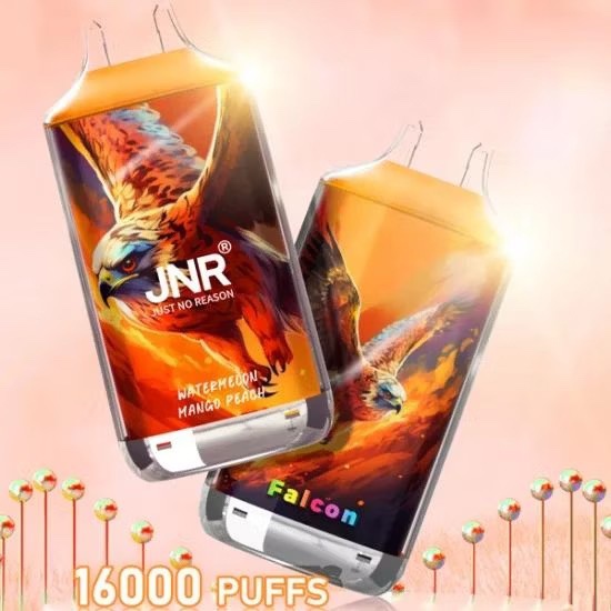 Carton de Cigarette électronique Jetable JNR Falcon 16000 Bouffées Vape –  Vente Uniquement en Lot de 200 Unités (Minimum de Commande) –  dawtonasarl.com