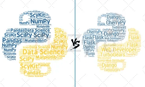 Python For Data Science Vs Web Development Python Programming - Stunning Vintage Illustration - High Resolution