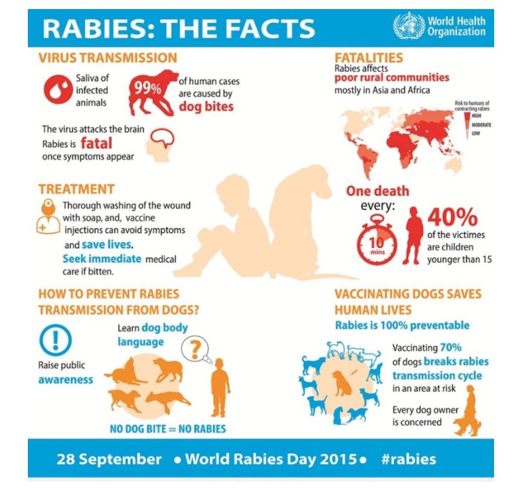 Rabies infection spreads to 2 more areas | DayakDaily
