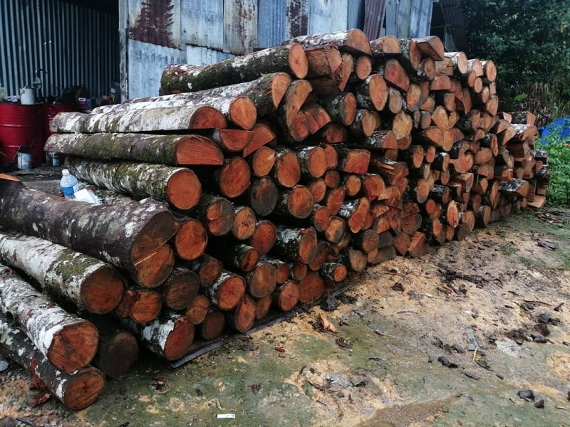 Illegal timber seized in Bau | DayakDaily