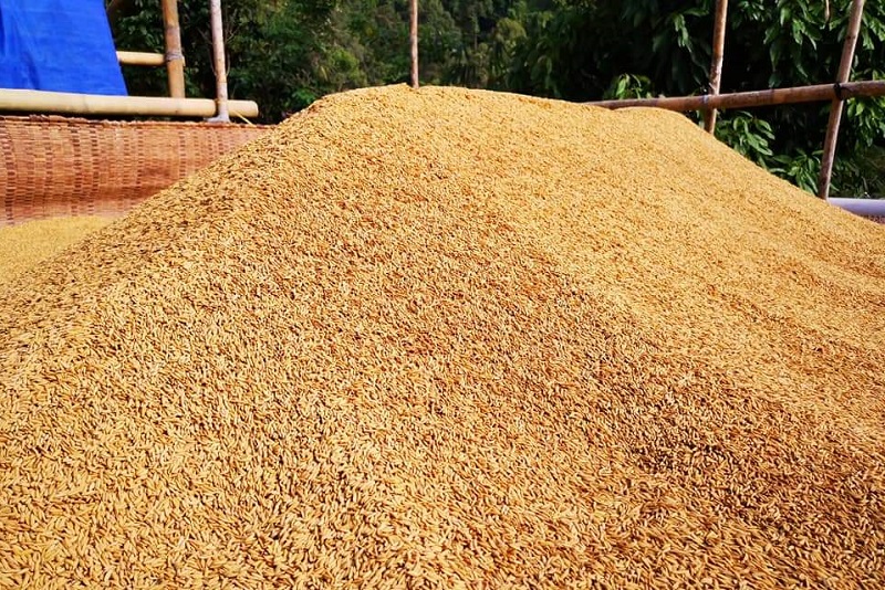 Ministry plans review of local rice ceiling price