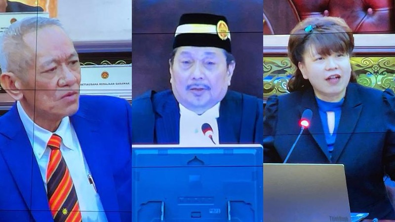 Deputy Speaker expunges two parts of Pending rep’s debate speech