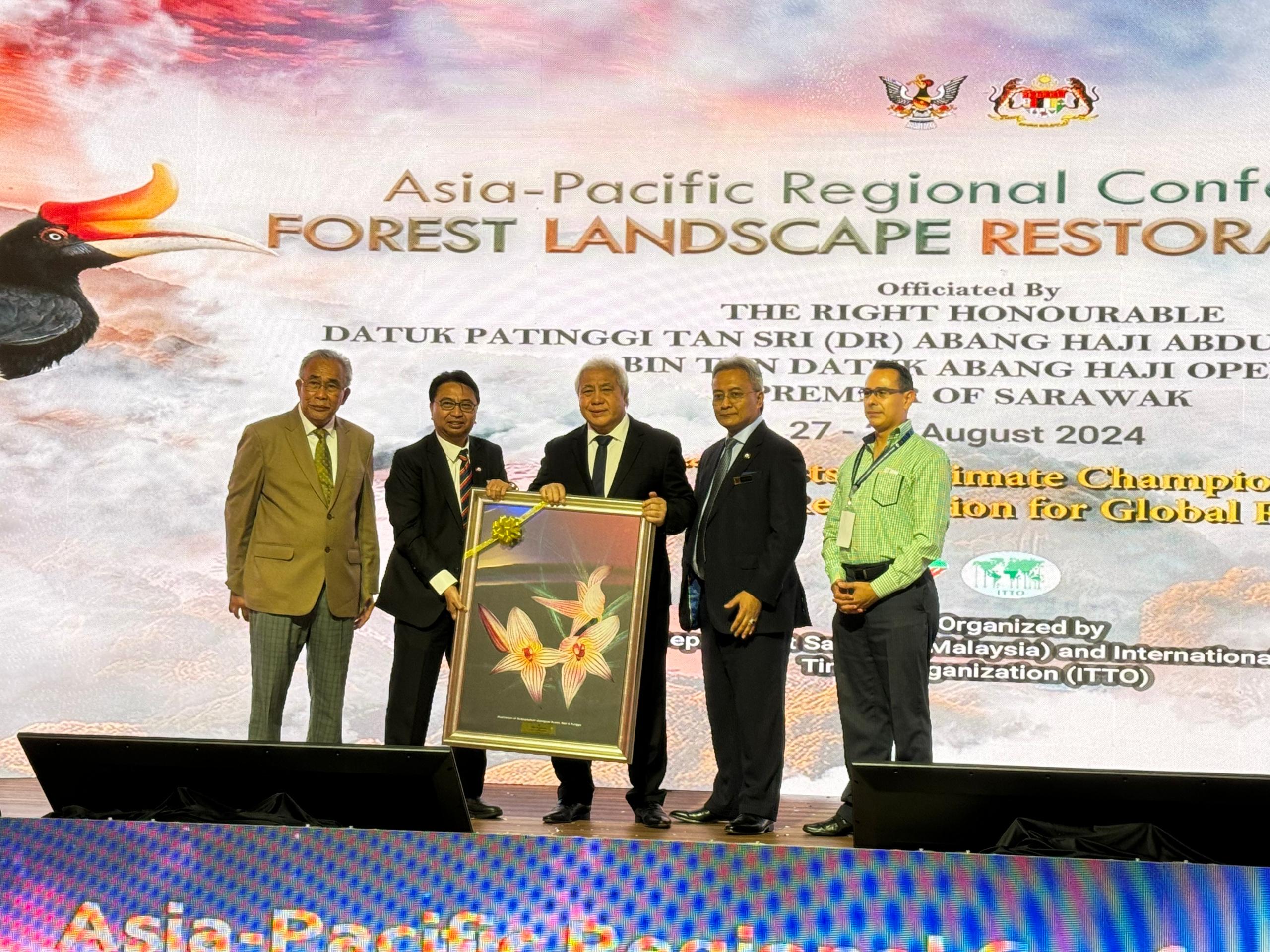 Sarawak surpasses 35 mln tree planting target one year early, leading Malaysia’s environmental restoration efforts